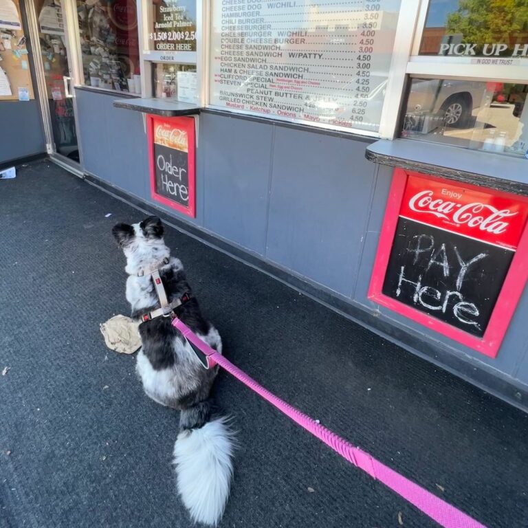 Atomic-Brand-Energy-About-1x1-Team-Olive-Charlie-Josephs